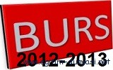 Burs Veren Kurum, kuruluş ve Vakıflar 2012-2013 (1)