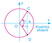 Trigonometri konu anlatımı www.egitim-dunyasi.net