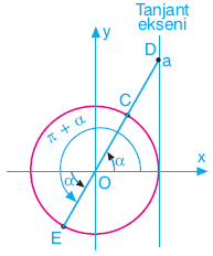 Trigonometri konu anlatımı www.egitim-dunyasi.net