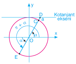 Trigonometri konu anlatımı www.egitim-dunyasi.net