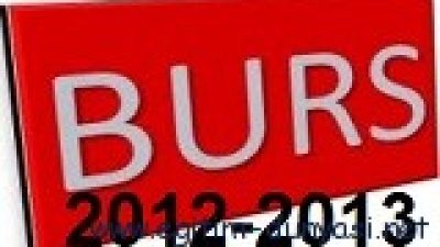 Burs Veren Kurum, kuruluş ve Vakıflar 2012-2013 (1)