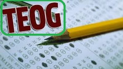 TEOG Bahar Dönem Sınavları