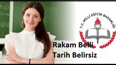 MEB 47 Bin Öğretmen Ataması Yapacak 2015