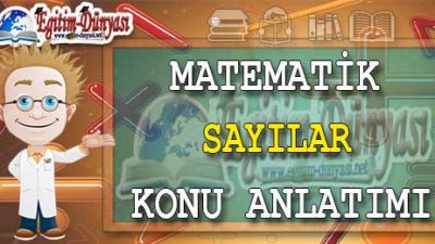 Matematik Sayılar Konu Anlatımı Video